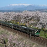 白石川堤一目千本桜の人気撮影スポットの一つ
