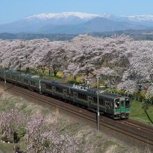 この橋は、桜＋蔵王連峰＋列車が一緒の写真が撮れる人気スポット