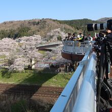 桜とJR東北本線の線路が見下ろせる場所にはカメラマンが多数
