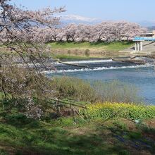 JR船岡駅から桜並木の堤防を行くと、こんな感じで見えてきます