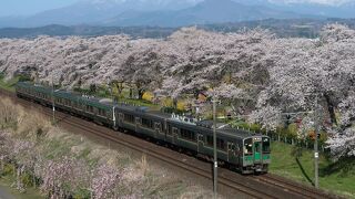 しばた千桜橋