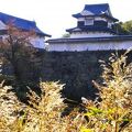 連立式の大天守を観てみたい！～　鶴舞公園・福岡城跡