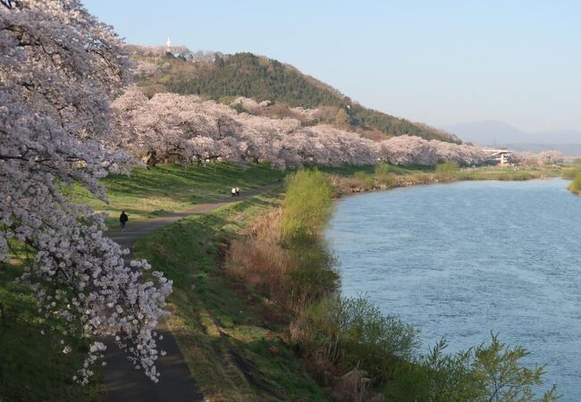 さくら歩道橋