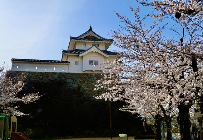 桜が見頃だった