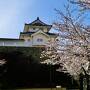 舞鶴城公園 (甲府城跡)