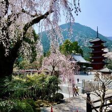 久遠寺で知られる山