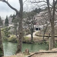南砺市桜ヶ池自然活用施設　自遊の森 写真