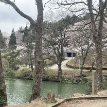 南砺市桜ヶ池自然活用施設　自遊の森