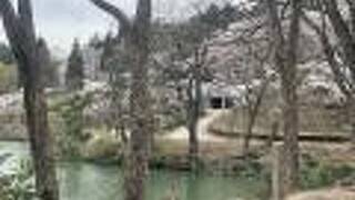 南砺市桜ヶ池自然活用施設　自遊の森
