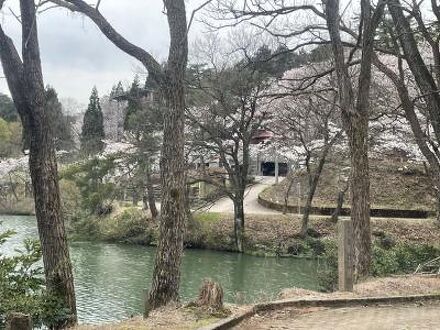 南砺市桜ヶ池自然活用施設　自遊の森 写真