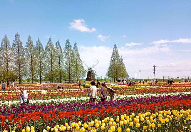 あけぼの山農業公園