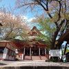 紅龍山布施弁天東海寺