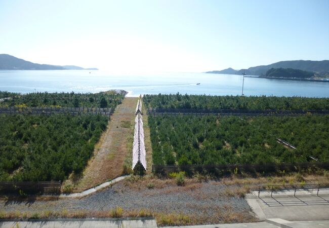 静かな時間が流れていました