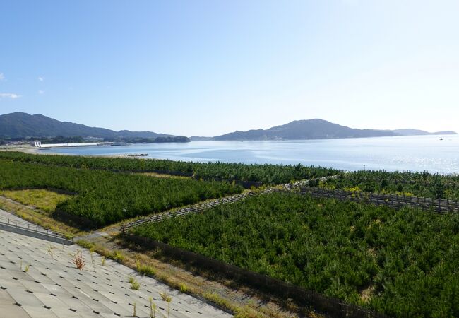 ２０２１年に海水浴場として復活