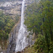 30代にも見たはずなんだけど、こんなだったかしら