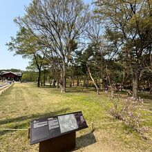 三陵公園 (宣陵 靖陵)