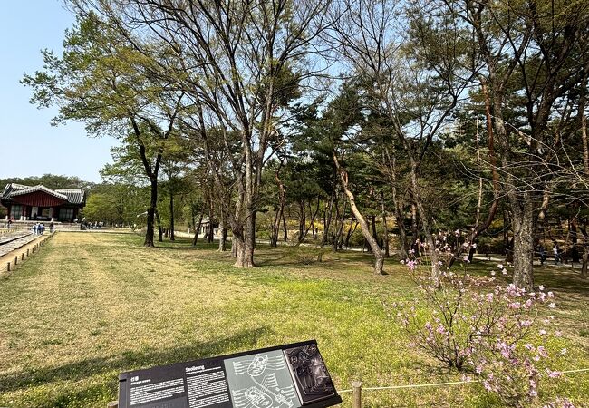 三陵公園 (宣陵 靖陵)