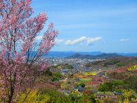 花見山公園