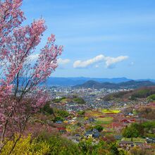 花見山公園