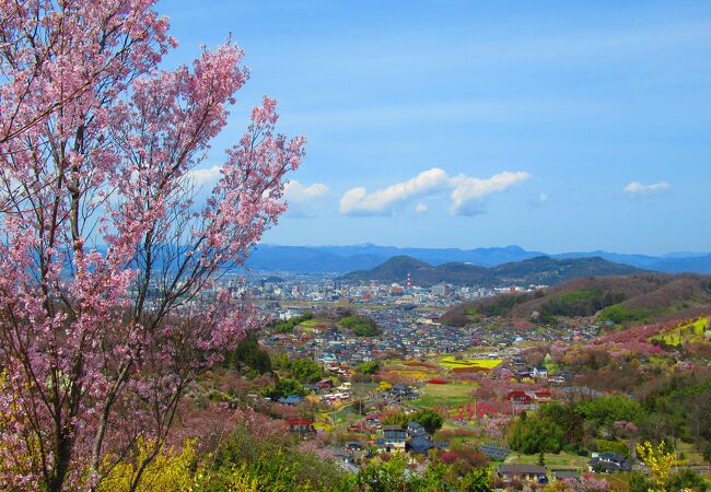 花見山公園