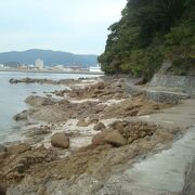 竹島遊歩道を半周