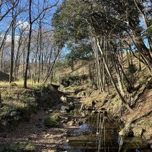 鉢形城公園