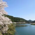 日向神千本桜