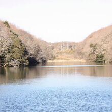 茨城県水郷県民の森