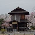 桜や紅葉の時期は夜間ライトアップもある京都駅近くの東本願寺の飛地庭園