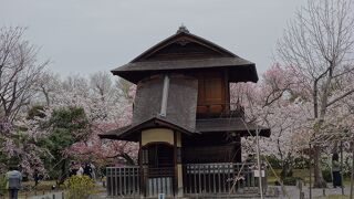 桜や紅葉の時期は夜間ライトアップもある京都駅近くの東本願寺の飛地庭園