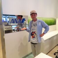 ANA アライバルラウンジ (成田国際空港)