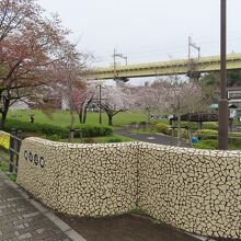 公園と桜