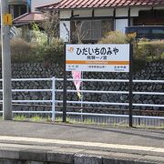 臥龍桜に隣接した無人駅です。駅構内にもりっぱな１本桜があります。