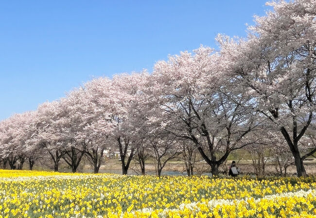 岩井親水公園