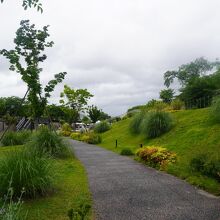 旧草津川 (天井川)