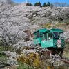 桜が満開の時期には素晴らしい眺め！