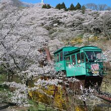 船岡城址公園