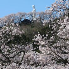 しばた千桜橋から見た公園てっぺに立つ船岡平和観音像
