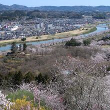 船岡平和観音像のお足元から見る春景色も素晴らしい