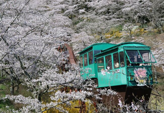 船岡城址公園