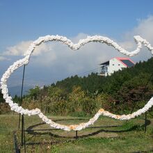 フォトスポットがたくさんあります