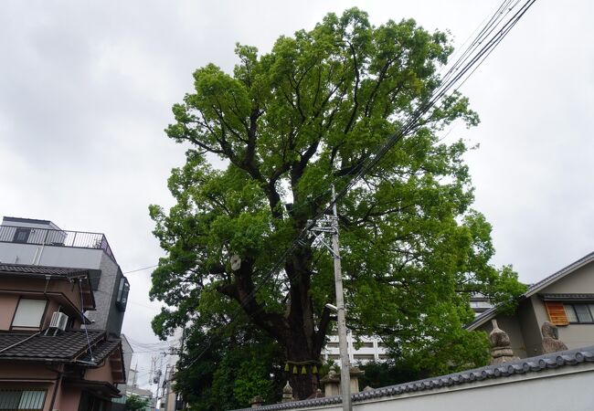 法巖寺