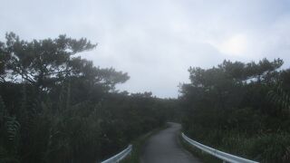 対向車は１台もなかった