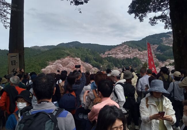 吉水神社