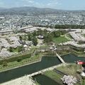 ２０２４年桜満開を堪能しました