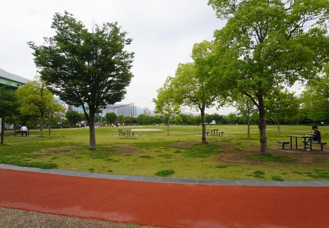 多目的芝生広場を中心にジョギングもできる遊歩道