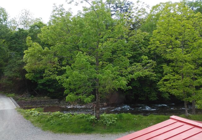 芽登温泉ホテル