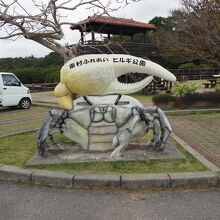 東村ふれあいヒルギ公園