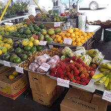 ファーマーズマーケットに並ぶ果物・野菜等