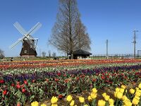 あけぼの山農業公園